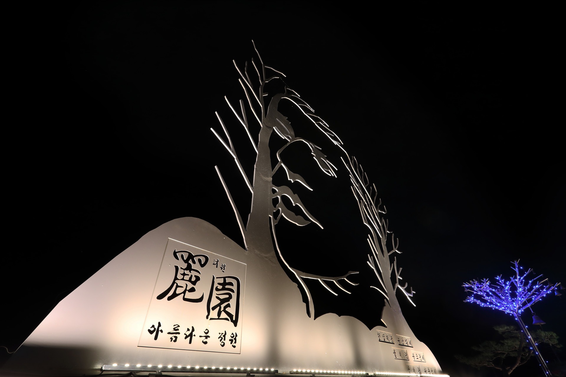 려원 야경 야외 분수